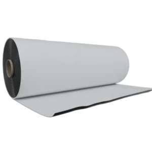 EIFFEL FILM mt14 B/N